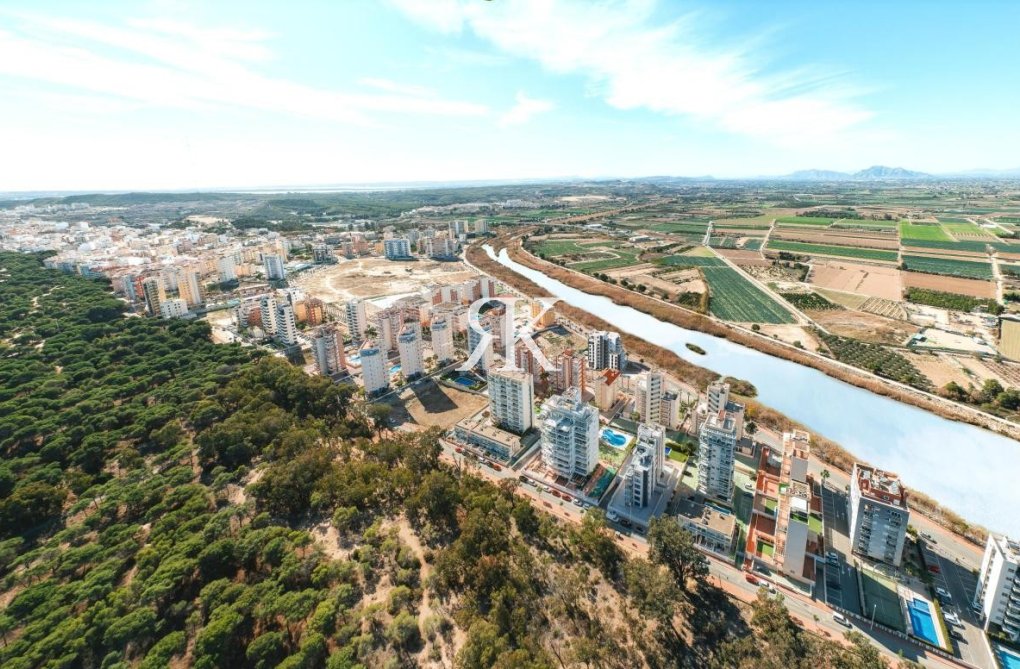 Construction Neuve - Appartement - Guardamar del Segura