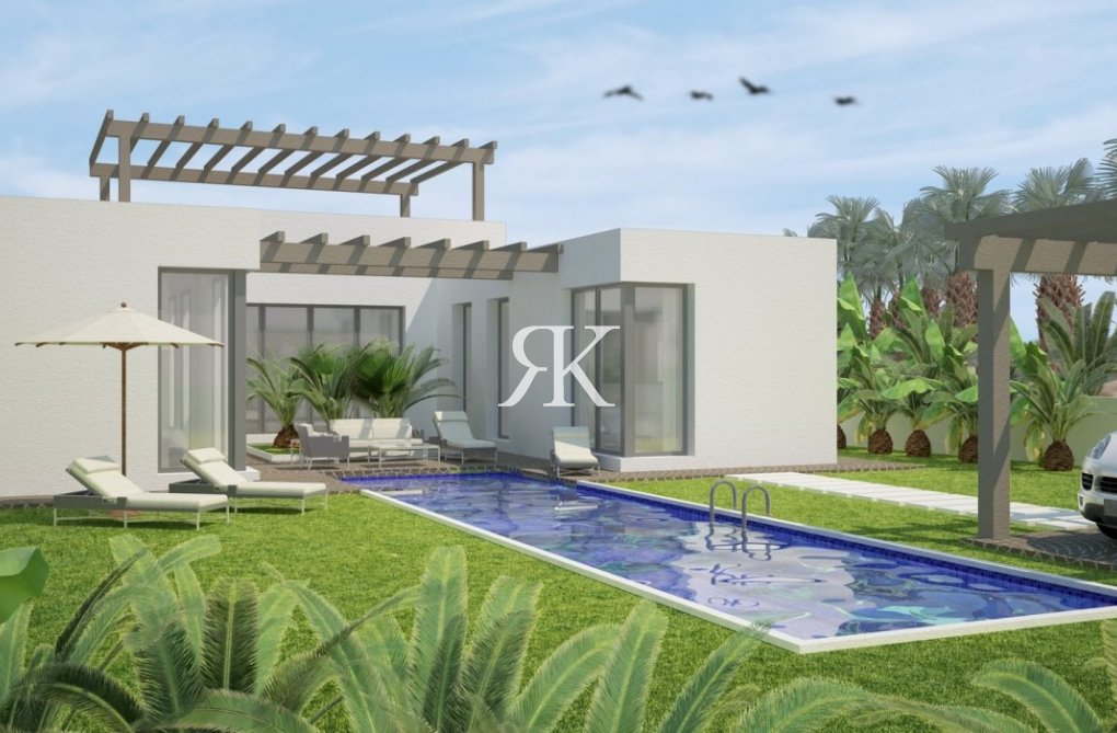 Construction Neuve - villa - Benijofar - Polideportivo