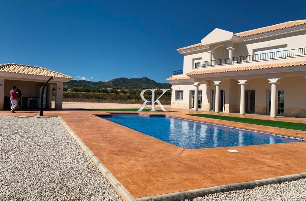 Construction Neuve - villa - Pinoso - Camino Del Prado