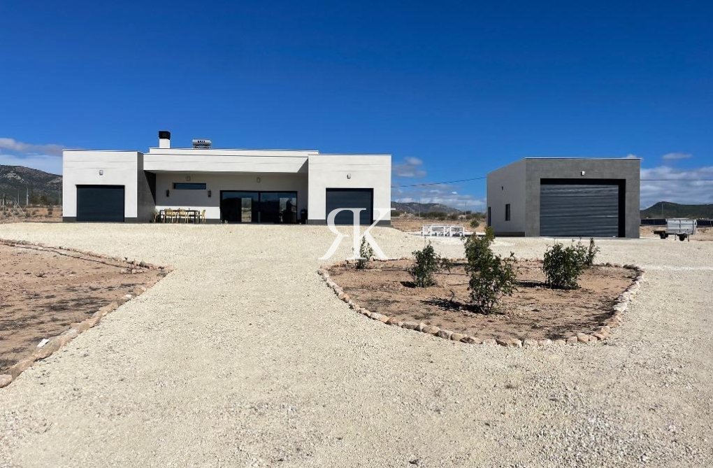 Construction Neuve - villa - Pinoso - Camino Del Prado