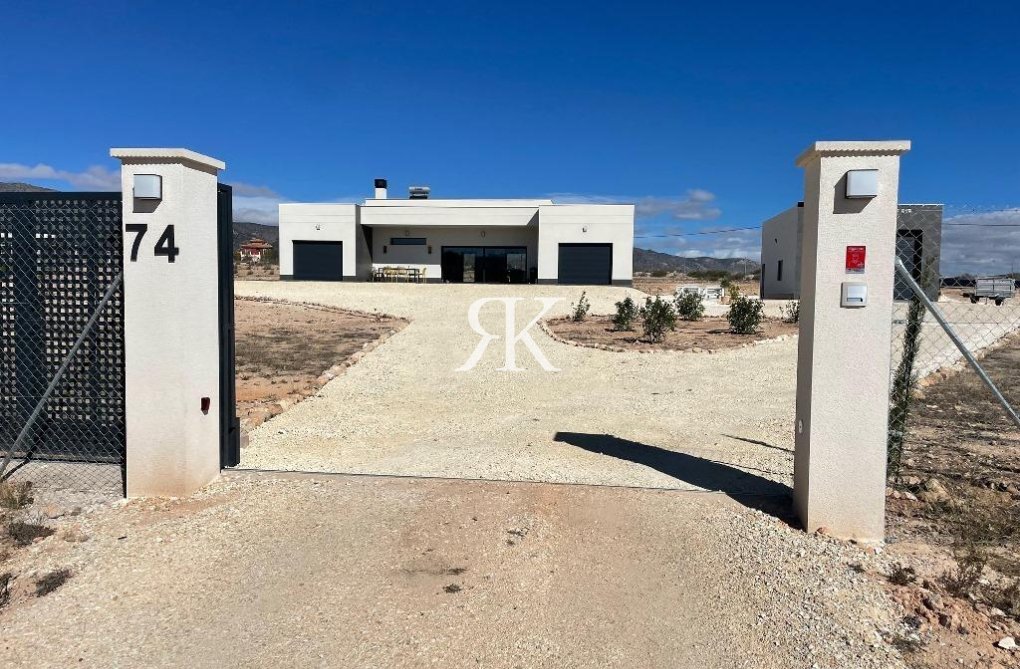 Construction Neuve - villa - Pinoso - Camino Del Prado