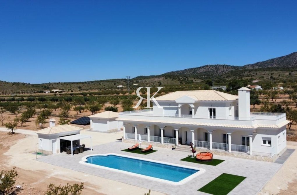 Construction Neuve - villa - Pinoso - Camino Del Prado