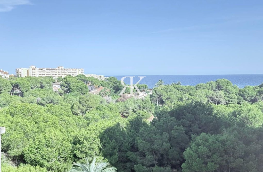 Herverkoop - Appartement - Orihuela Costa - Campoamor