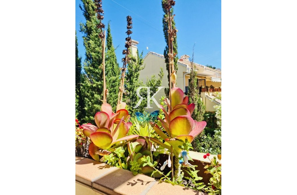 Herverkoop - Appartement - Orihuela Costa - Costa Blanca