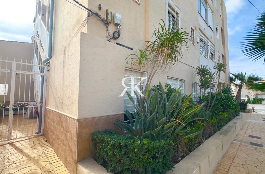 Herverkoop - Appartement - Torrevieja - Zona Los Frutales