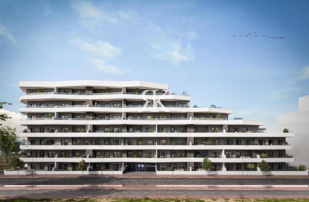 Neubau - Penthaus - San Miguel de Salinas