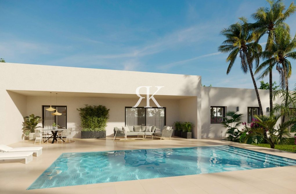 New Build - villa - Aspe - Poligono 19