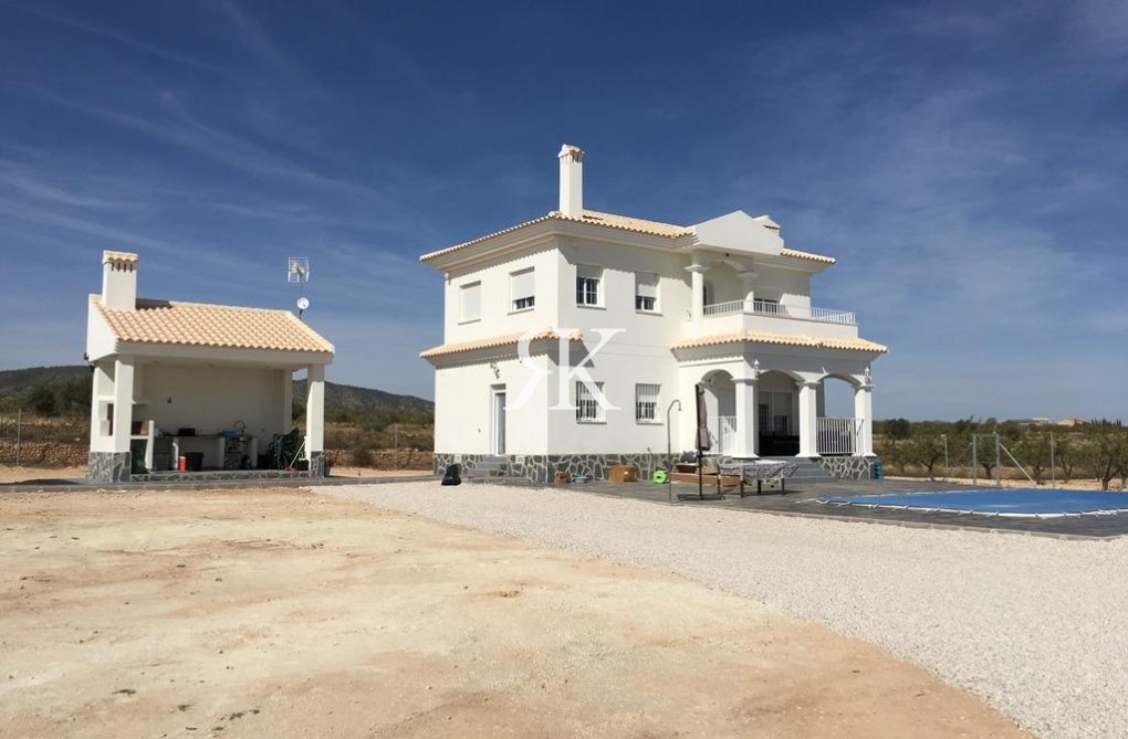 New Build - villa - Pinoso - Camino Del Prado
