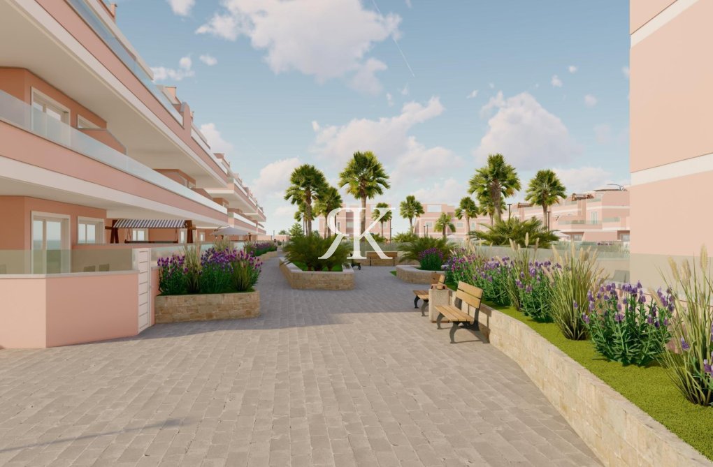 Obra Nueva - Apartamento  - Pilar de la Horadada