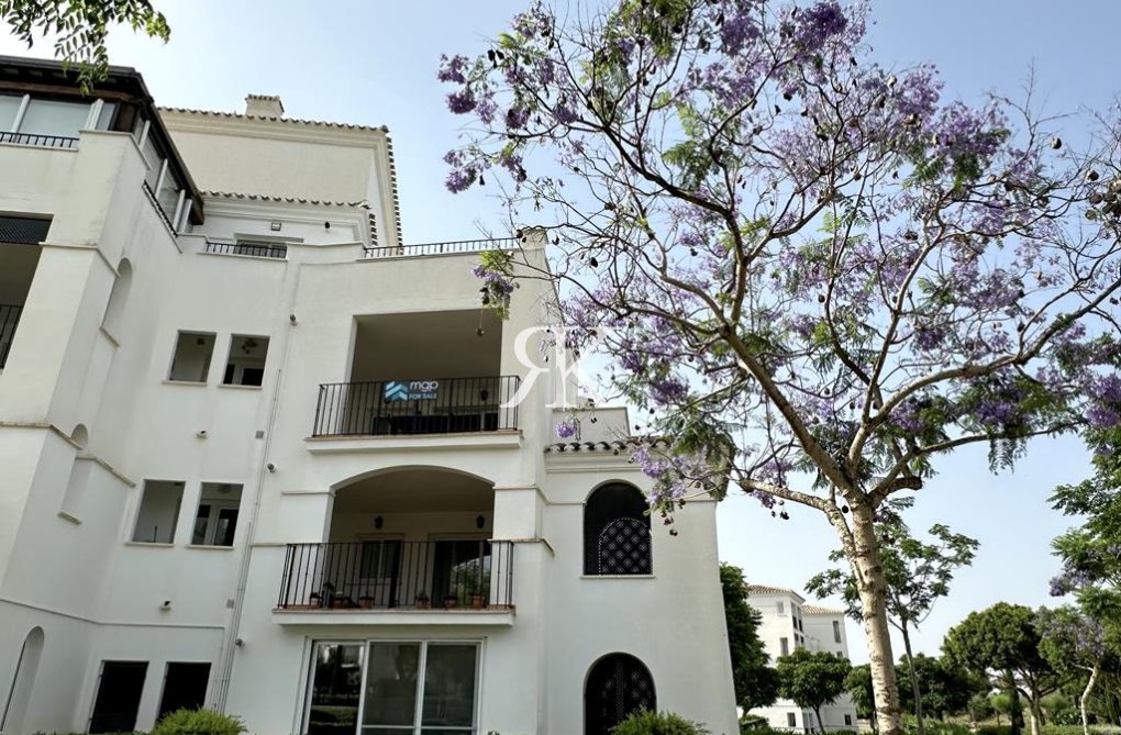 Resale - Apartment - Hacienda Riquelme Golf Resort - Inland