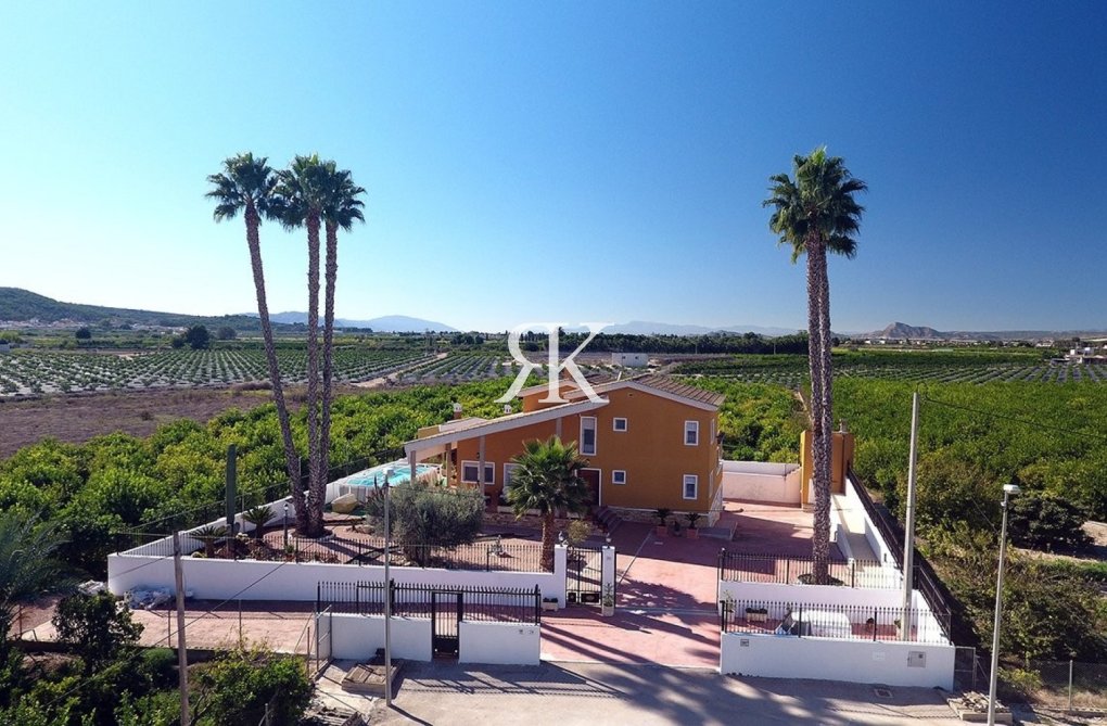 Resale - Finca - Orihuela - Alicante