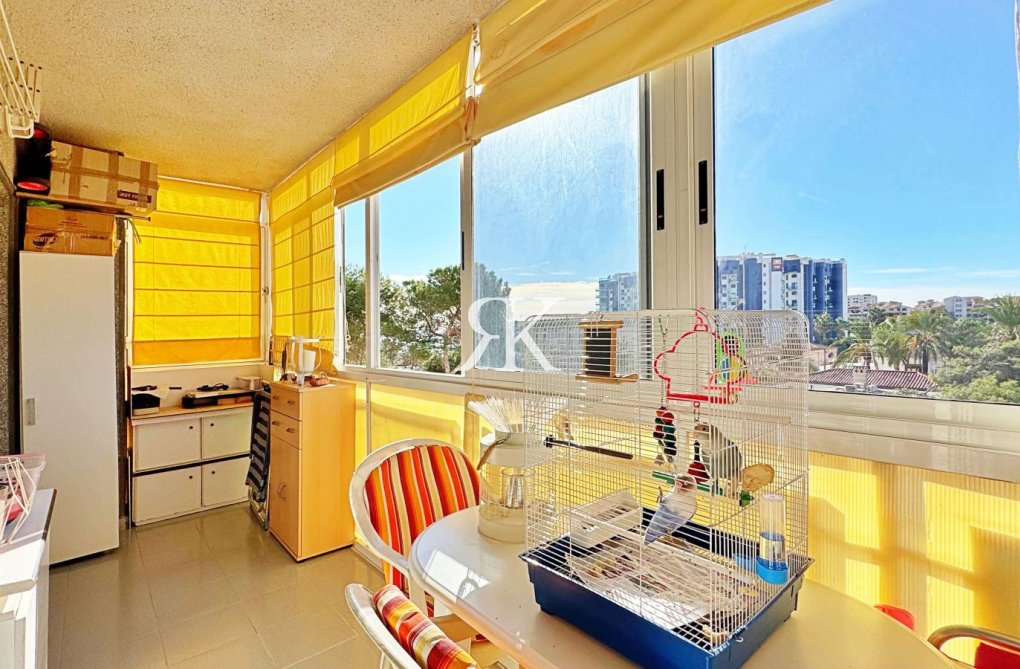 Revente - Appartement - Torrevieja - Costa Blanca