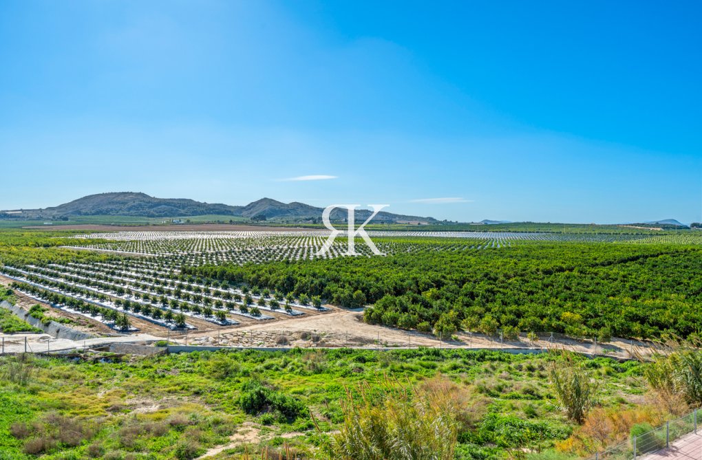 Segunda mano - Apartamento  - Algorfa - Inland