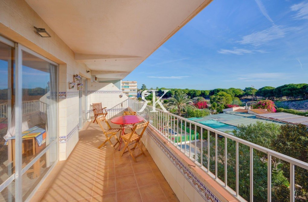 Segunda mano - Apartamento  - Guardamar del Segura - Pinomar