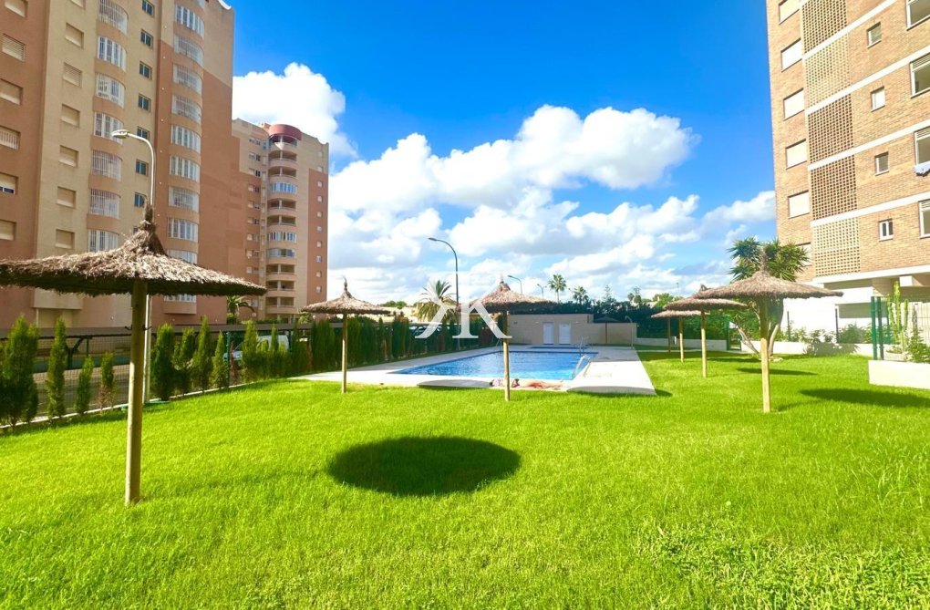 Segunda mano - Apartamento  - Orihuela Costa - Campoamor