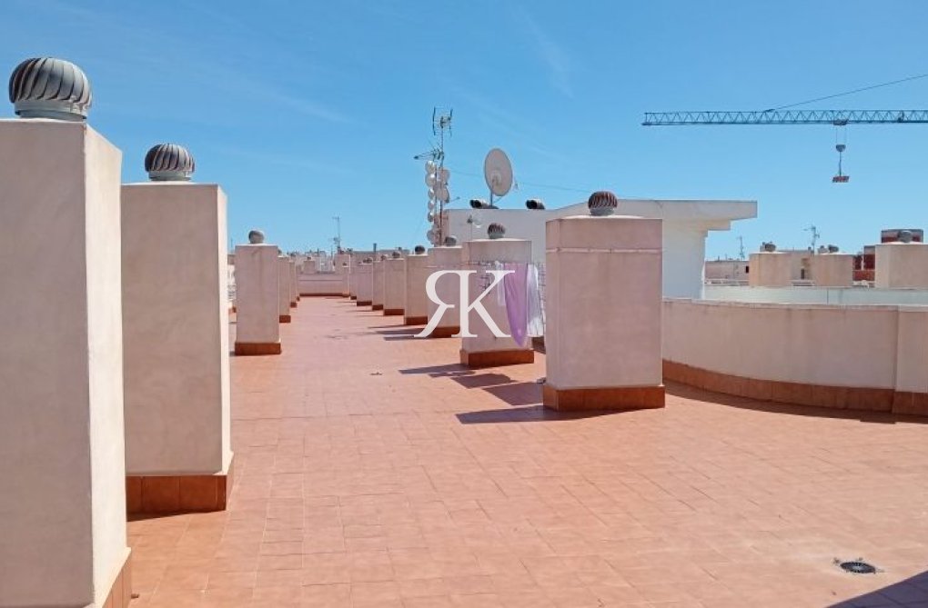 Segunda mano - Apartamento  - Torrevieja - Costa Blanca