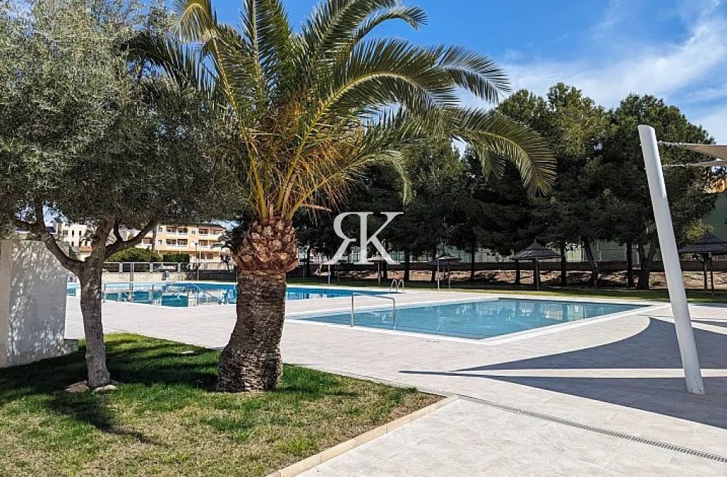 Segunda mano - Duplex - Algorfa