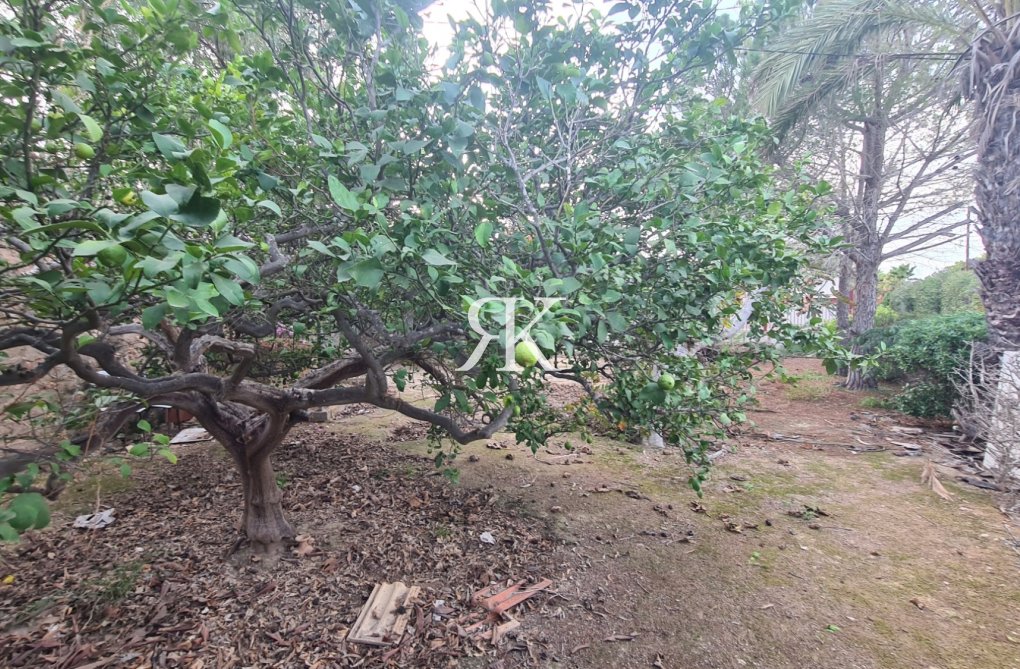Segunda mano - Villa independiente - Elche Pedanías - Valverde