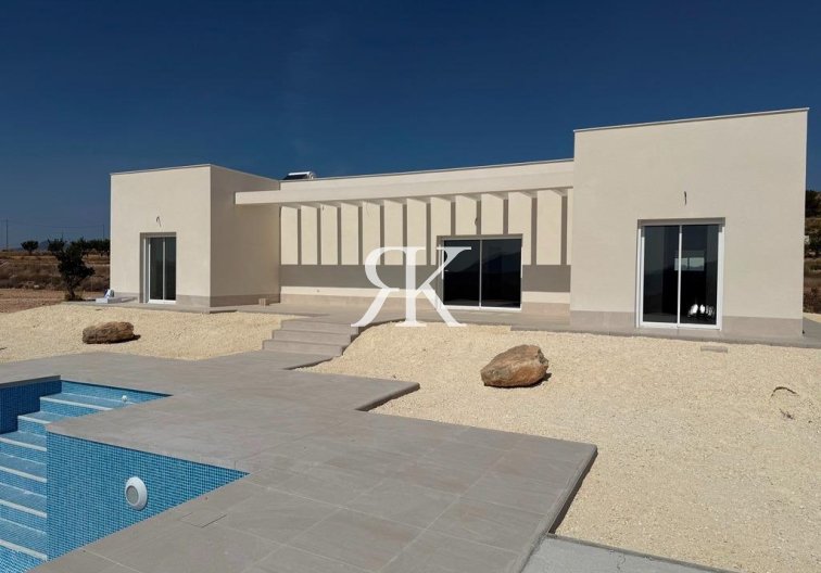 villa - New Build - Pinoso - Camino Del Prado