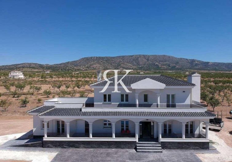 villa - New Build - Pinoso - Camino Del Prado