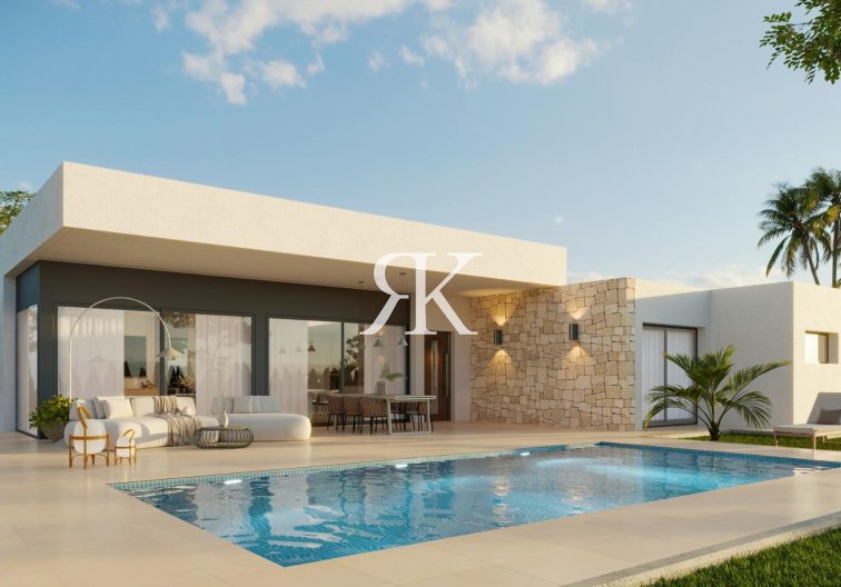 villa - Obra Nueva - Aspe - Poligono 19