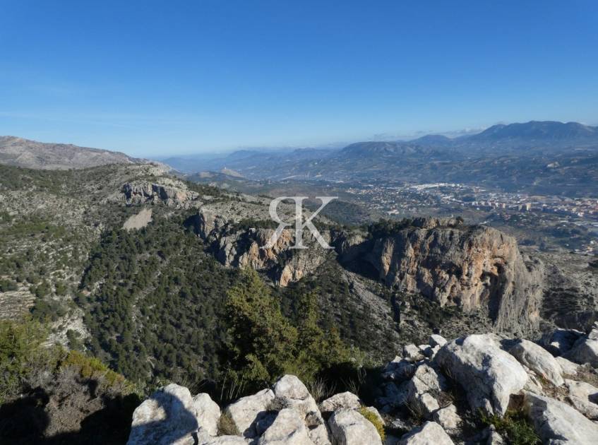 The Barranco del Cint Trail: A Natural Path in Alicante, Spain