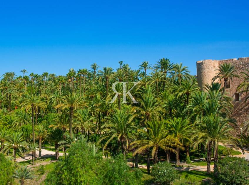 Elche: Un Destino Turístico Fascinante en la Provincia de Alicante