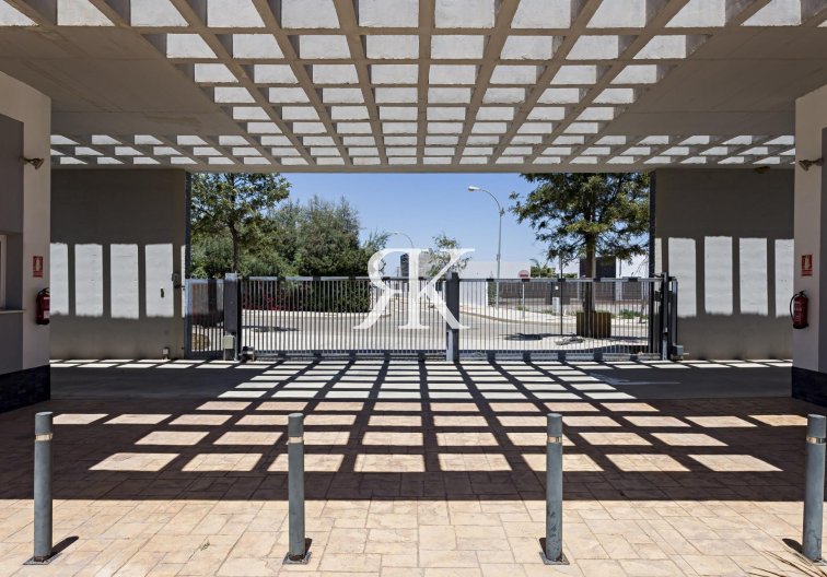 Neubau - Wohnung - Vera - El Playazo