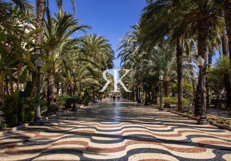 Neubau - Penthaus - Alicante - Centro