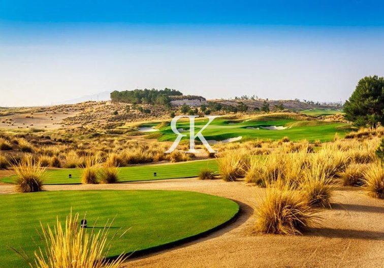 Neubau - villa - Alhama de Murcia - Condado De Alhama