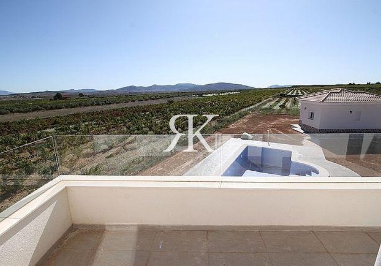 Neubau - villa - Pinoso - Camino Del Prado