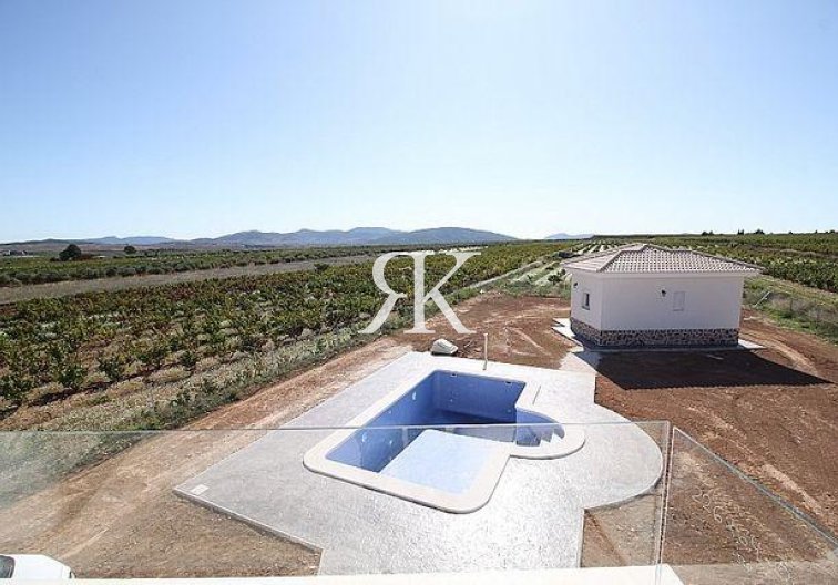 Neubau - villa - Pinoso - Camino Del Prado