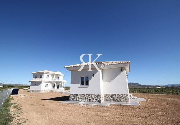 Neubau - villa - Pinoso - Camino Del Prado
