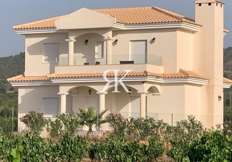 Neubau - villa - Pinoso - Camino Del Prado