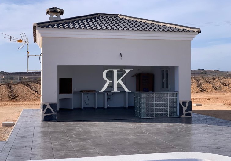 New Build - villa - Pinoso - Camino Del Prado