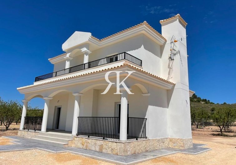 New Build - villa - Pinoso - Camino Del Prado