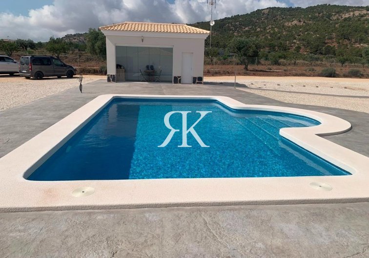 Neubau - villa - Pinoso - Camino Del Prado