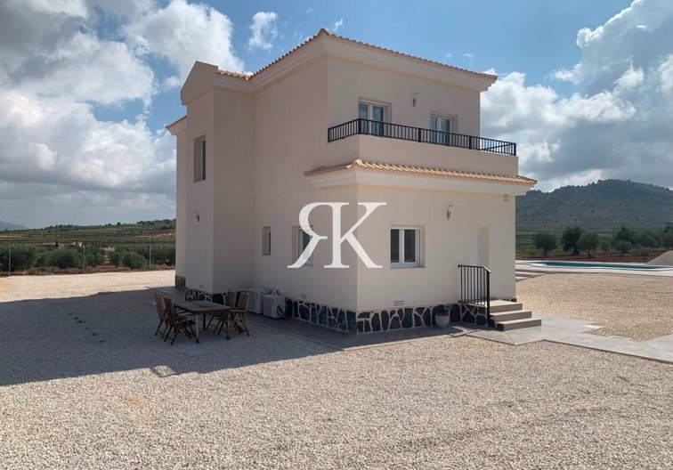 Neubau - villa - Pinoso - Camino Del Prado