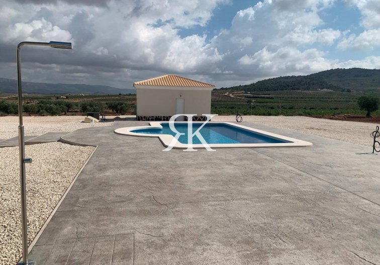 Neubau - villa - Pinoso - Camino Del Prado