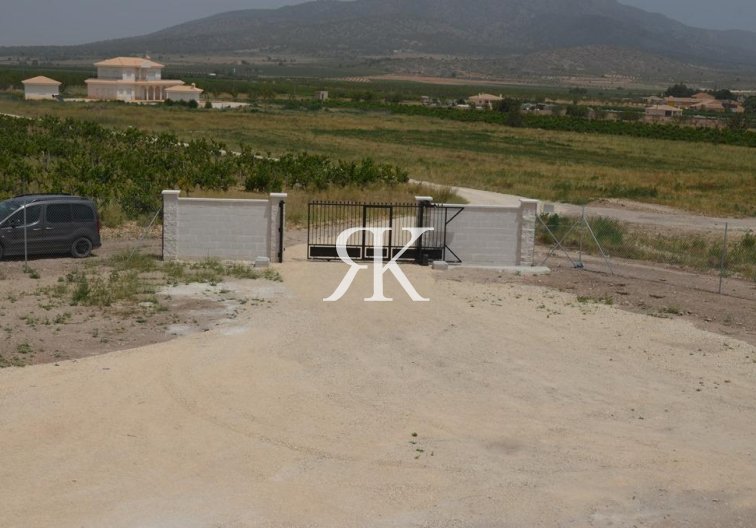 Construction Neuve - villa - Pinoso - Camino Del Prado