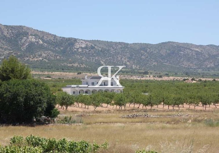 New Build - villa - Pinoso - Camino Del Prado