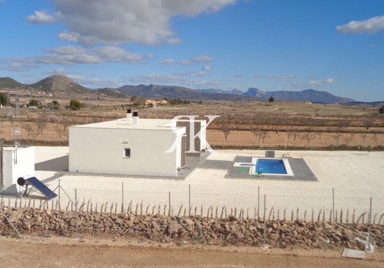 Neubau - villa - Pinoso - Camino Del Prado