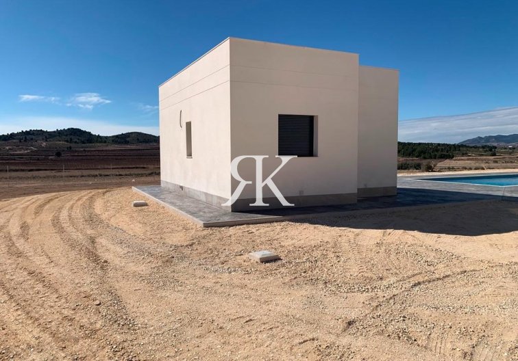 New Build - villa - Pinoso - Camino Del Prado