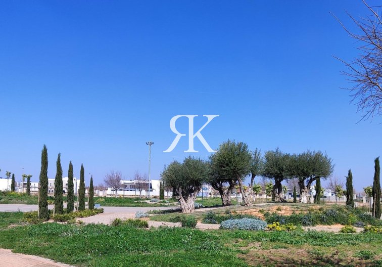 Neubau - Wohnung - Torre Pacheco - Centro