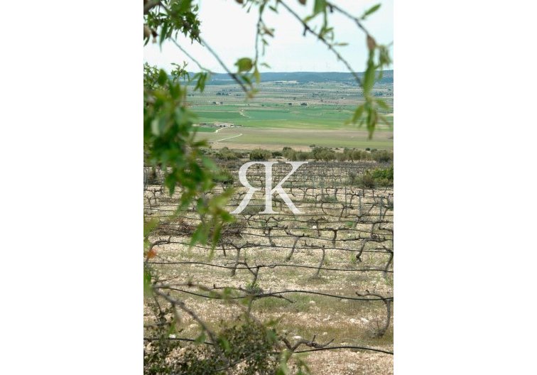 Neubau - villa - Yecla