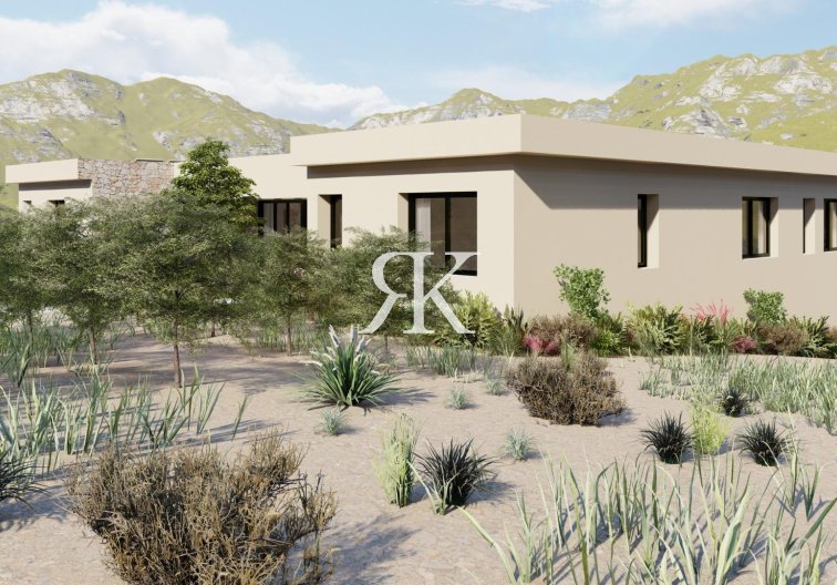 Construction Neuve - villa - Yecla