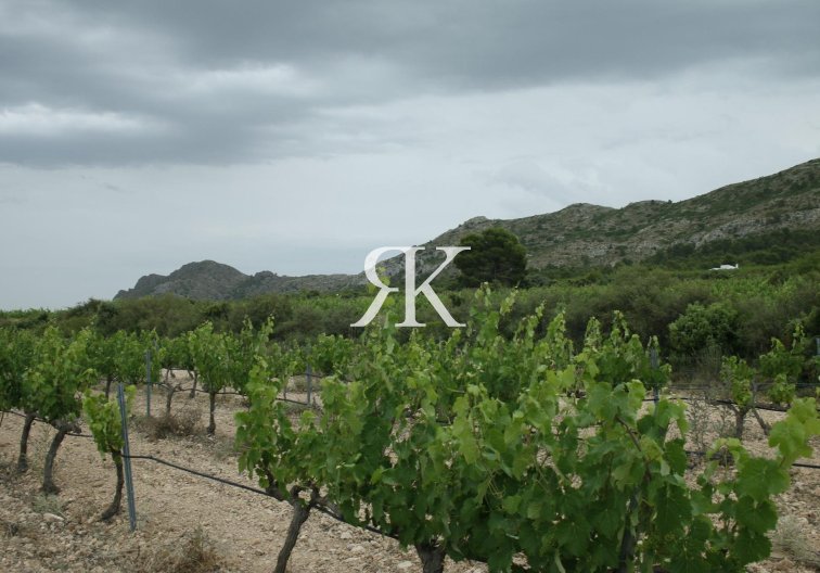 New Build - villa - Yecla