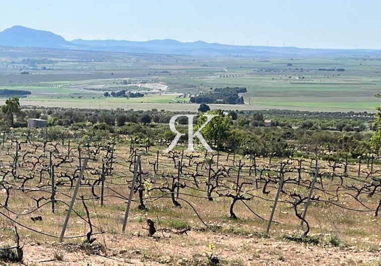 New Build - villa - Yecla