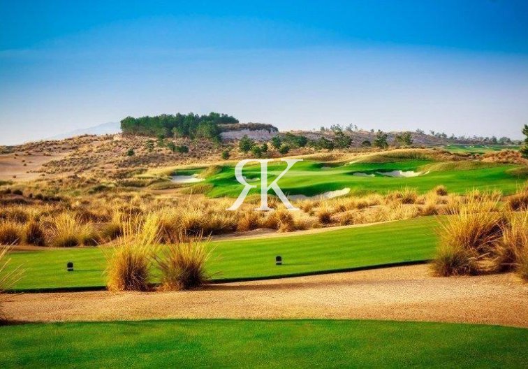 New Build - villa - Alhama de Murcia - Condado De Alhama