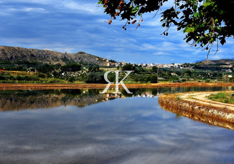 Neubau - villa - Calasparra - Coto Riñales